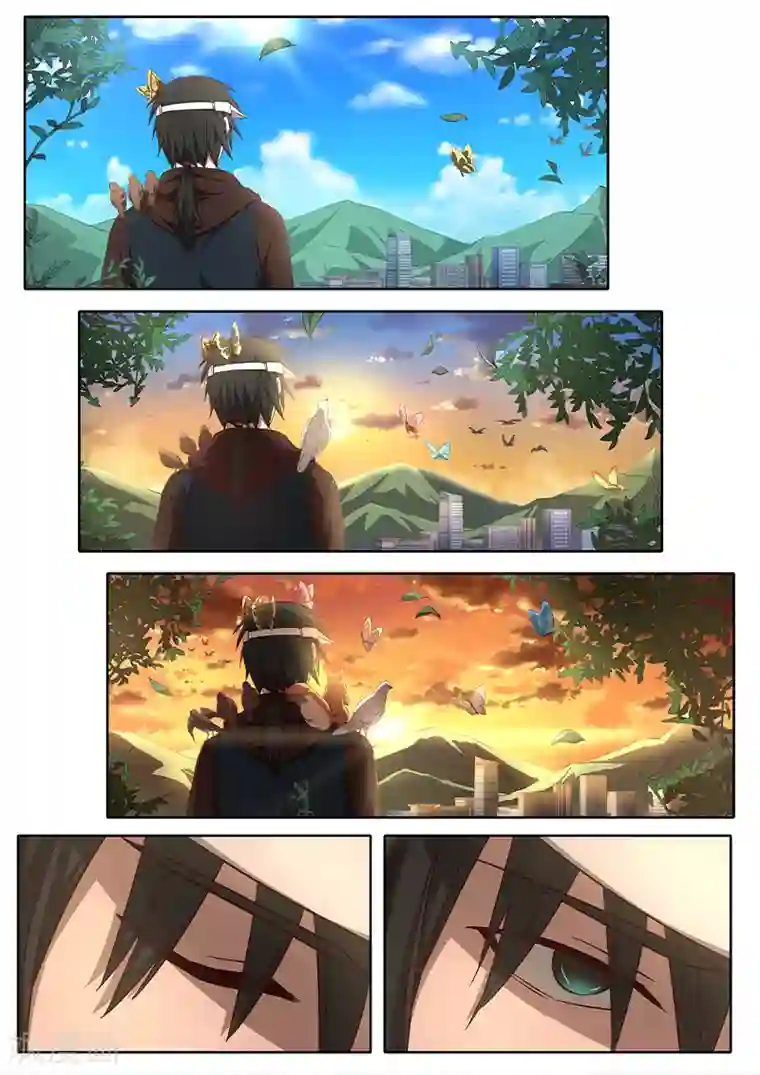 大隐于宅第22话 这些都是真实存在的！！