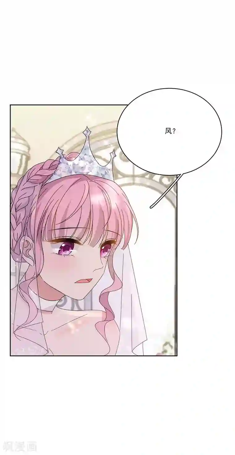 完美老公进化论番外6 凌风