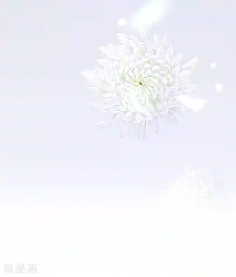 渣男总裁别想逃第201话 江枫的故事