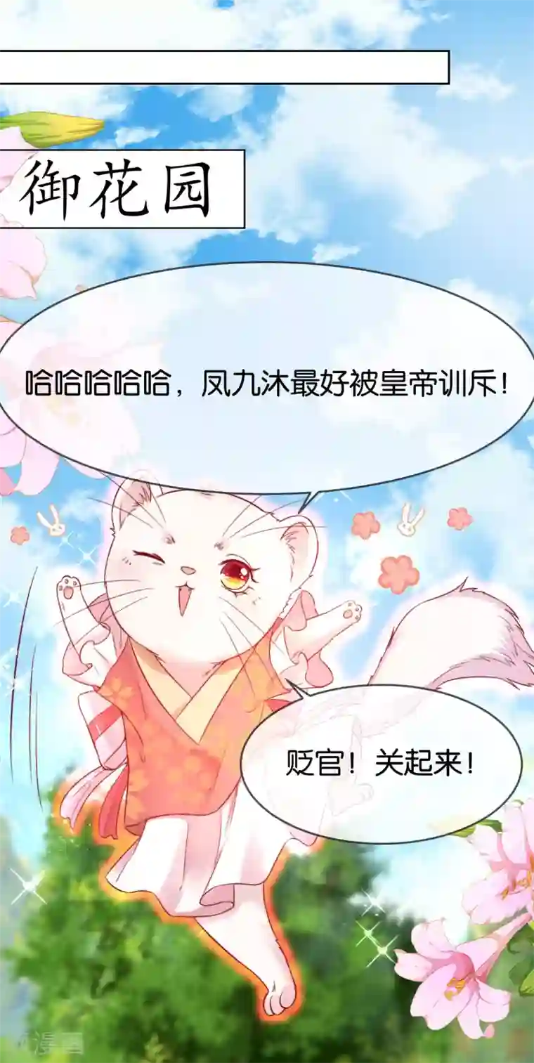 养兽为妃第5话 熊孩子终结者