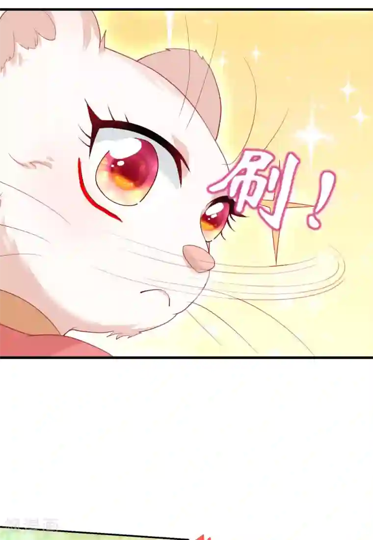 养兽为妃第5话 熊孩子终结者