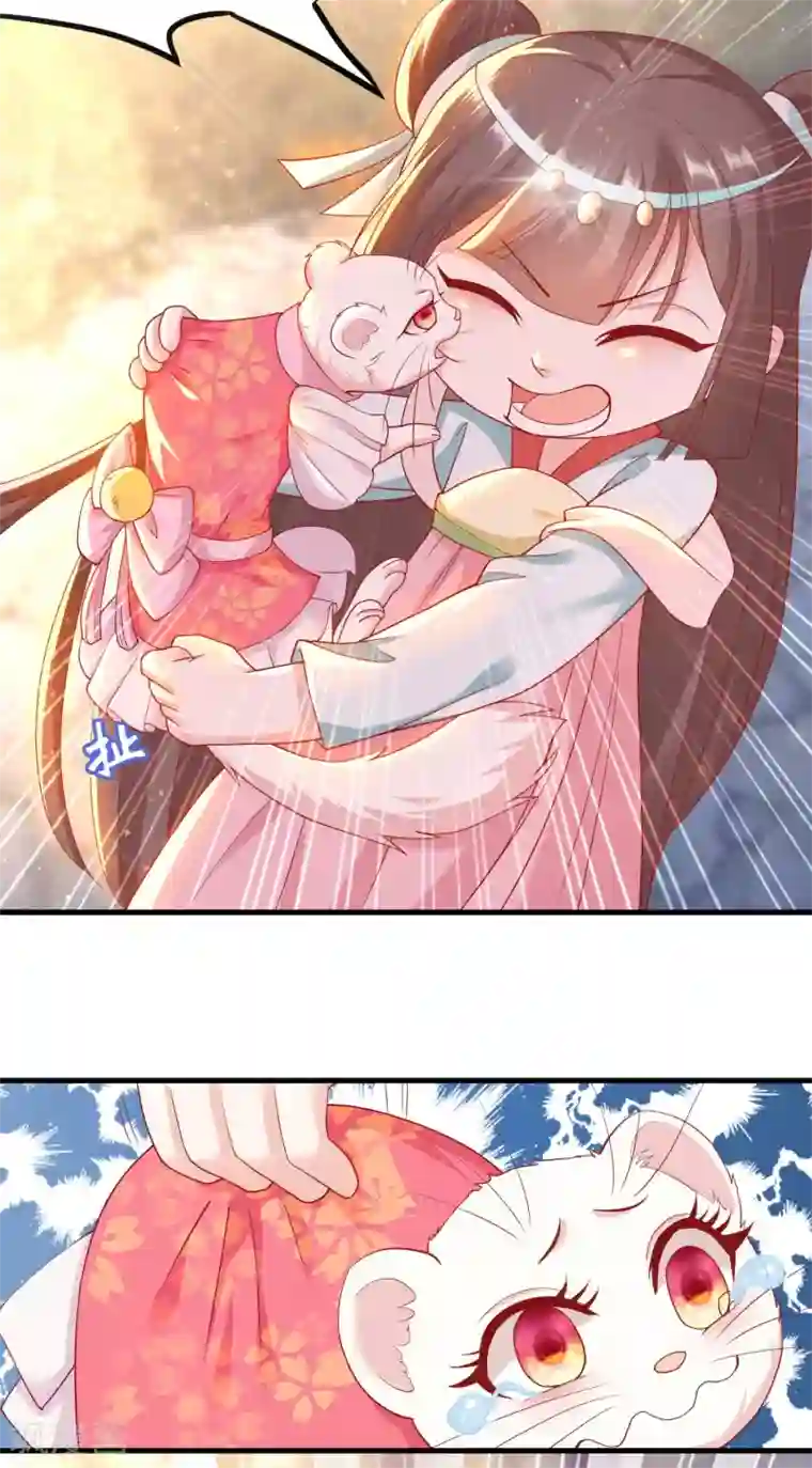 养兽为妃第5话 熊孩子终结者