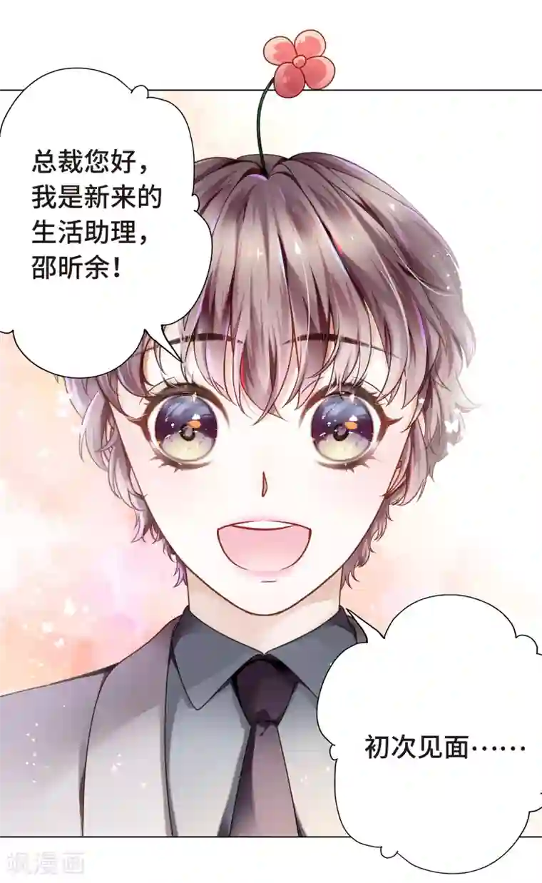 西装下的魔王第3话 总裁的秘书天团