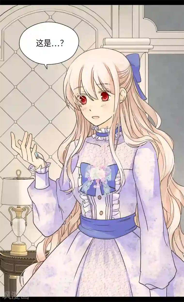 皇帝的独生女第332话 妈妈的遗物