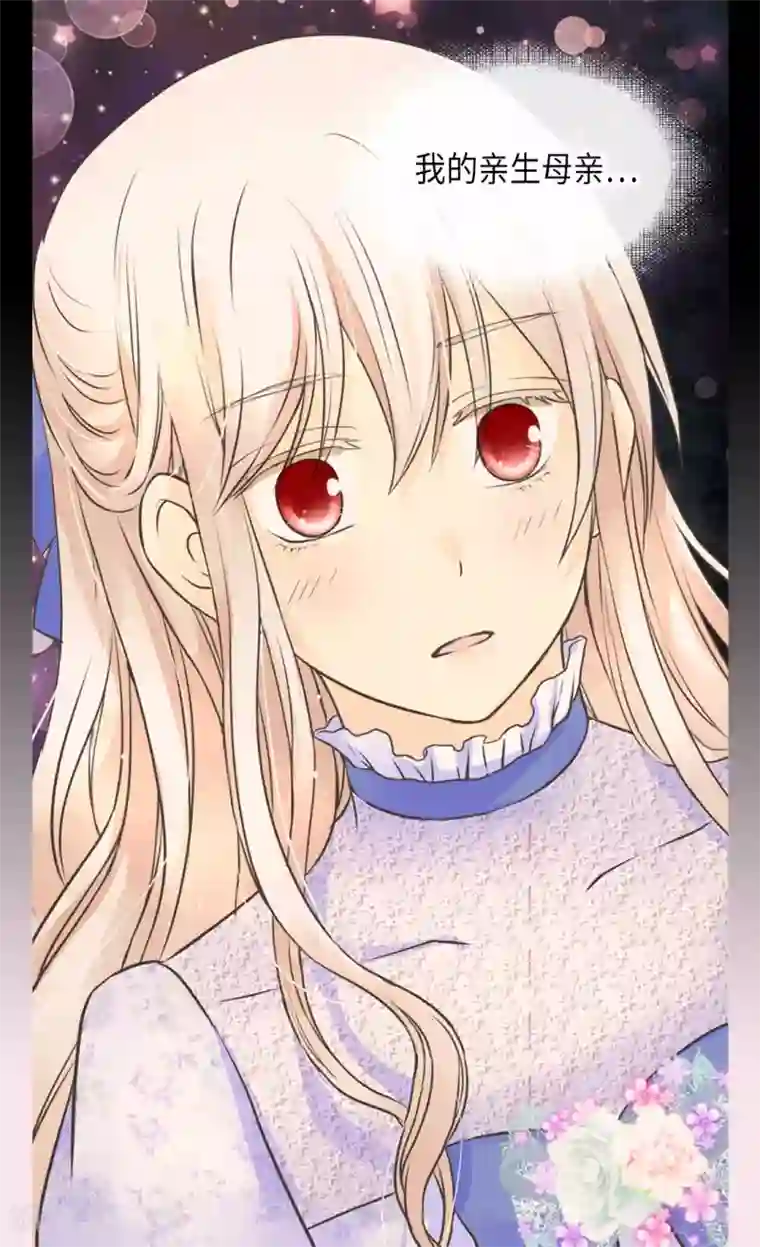 皇帝的独生女第332话 妈妈的遗物