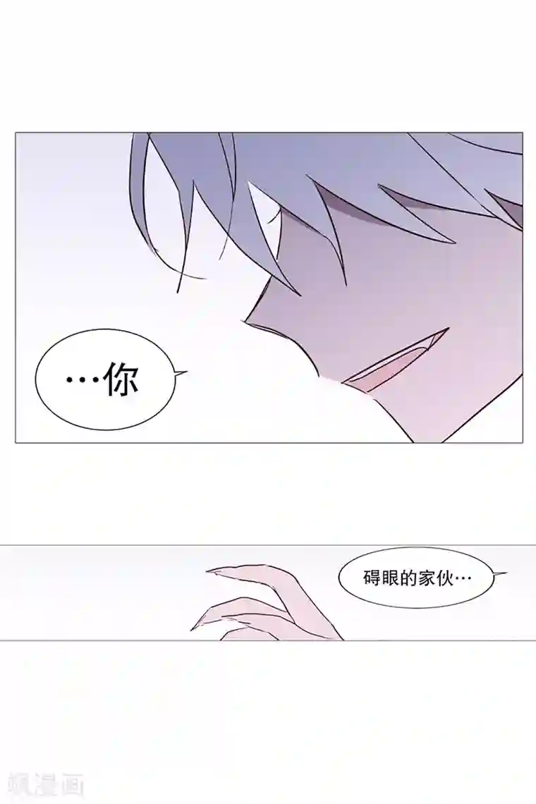 动物灵魂管理局第11话 小心点