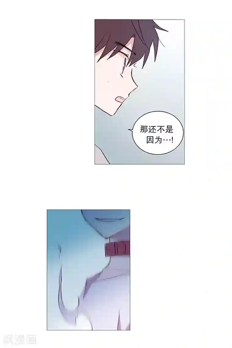 动物灵魂管理局第12话 咖啡店