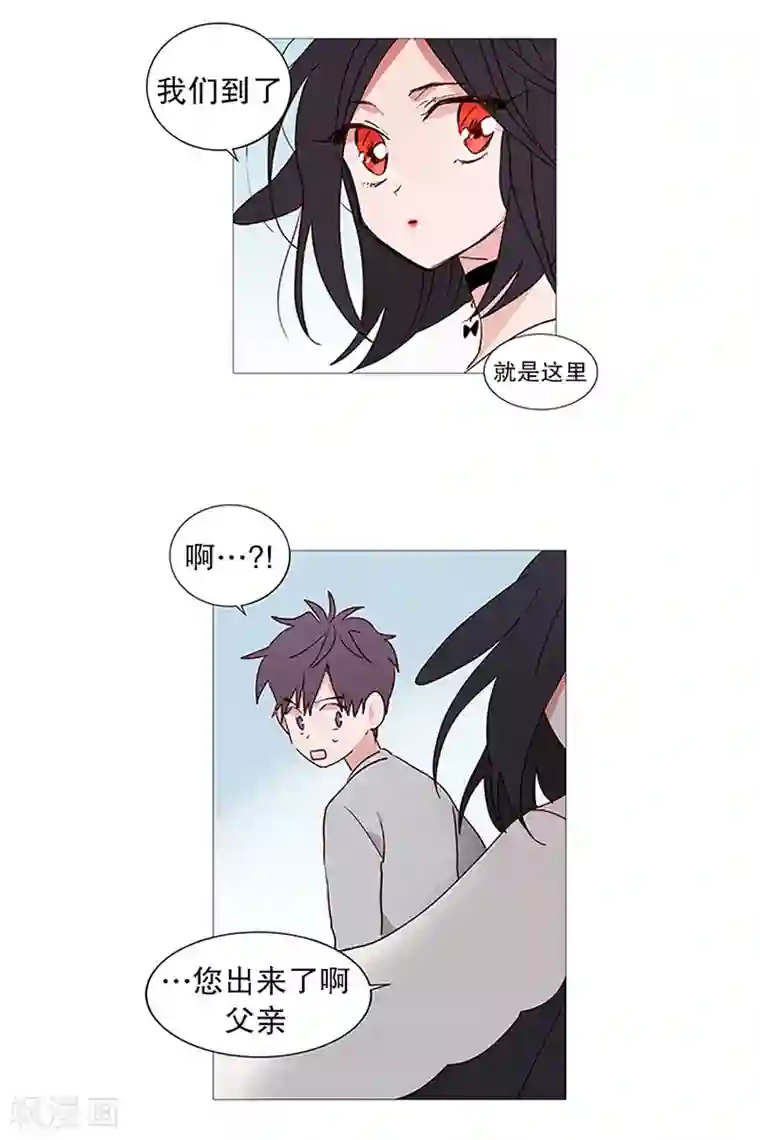 动物灵魂管理局第13话 我是紫灵