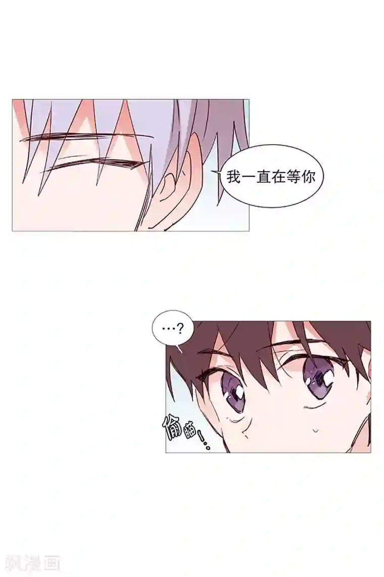 动物灵魂管理局第13话 我是紫灵