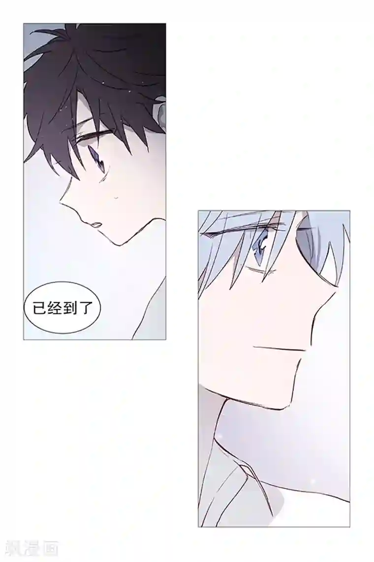 动物灵魂管理局第14话 真正的冬之夜