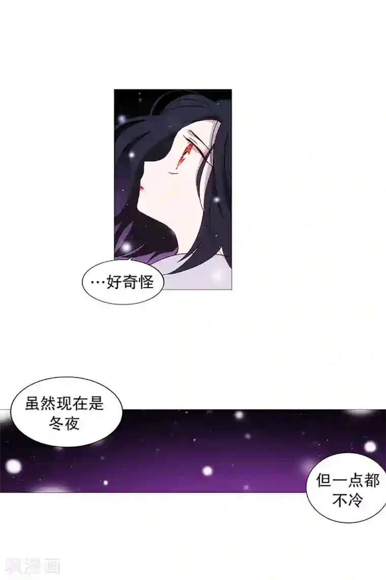 动物灵魂管理局第15话 冬之夜的孩子