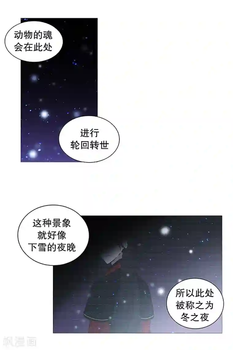 动物灵魂管理局第16话 动物们的阴间