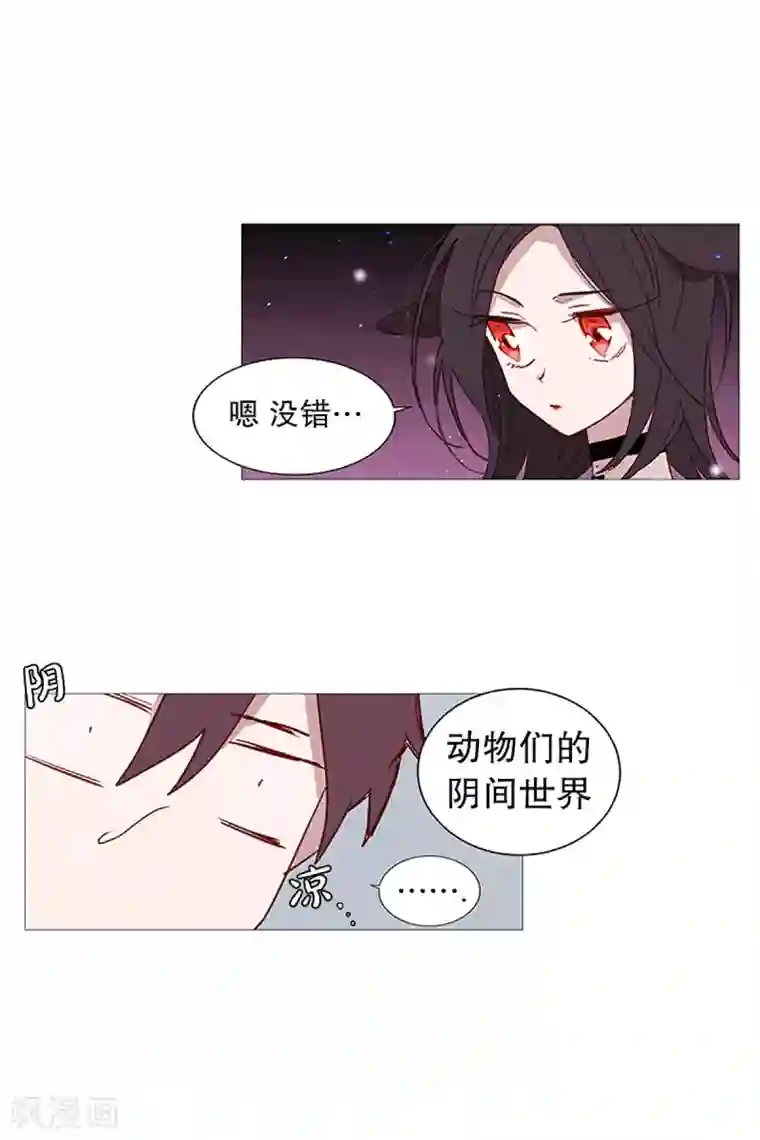 动物灵魂管理局第16话 动物们的阴间