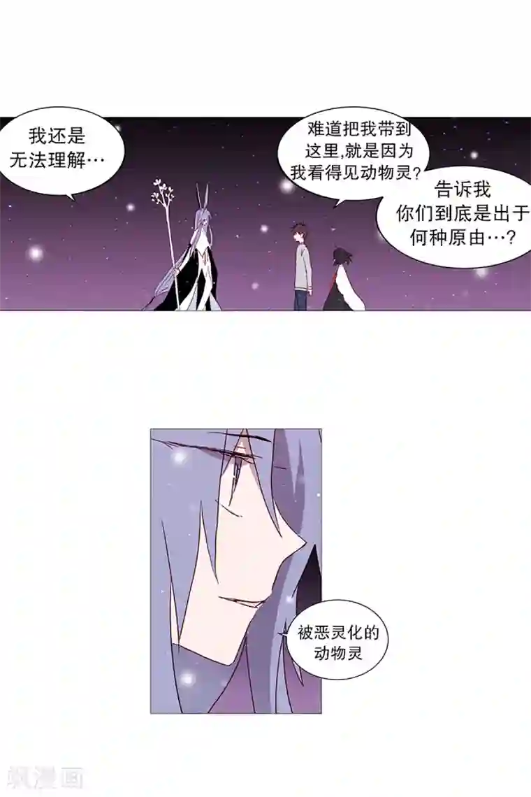 动物灵魂管理局第16话 动物们的阴间