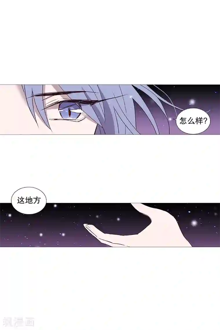 动物灵魂管理局第16话 动物们的阴间