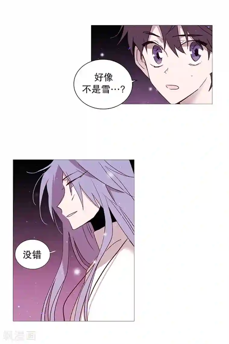 动物灵魂管理局第16话 动物们的阴间