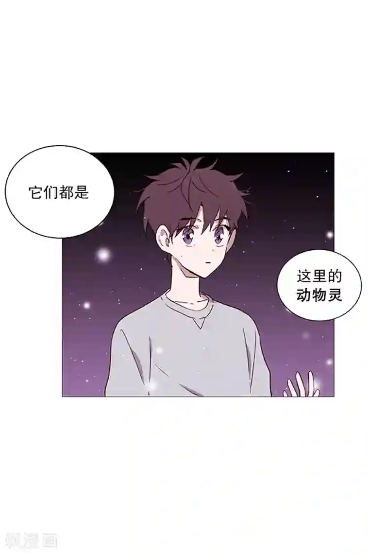 动物灵魂管理局第16话 动物们的阴间