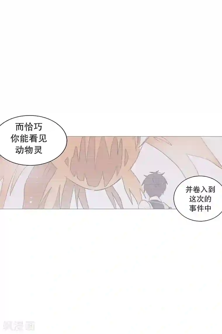 动物灵魂管理局第17话 条件