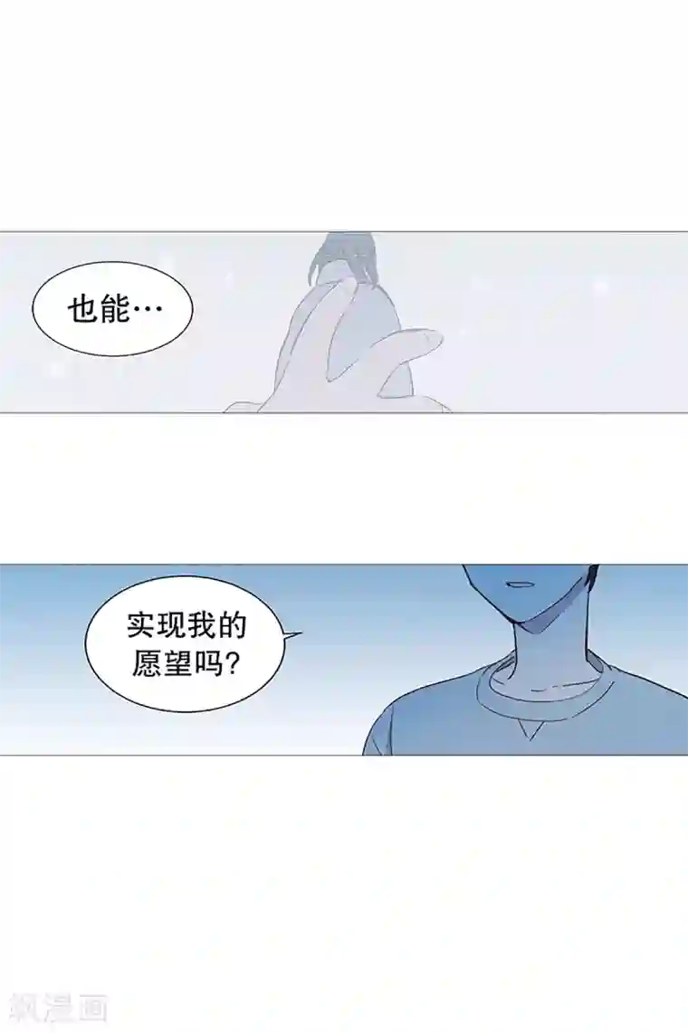 动物灵魂管理局第17话 条件