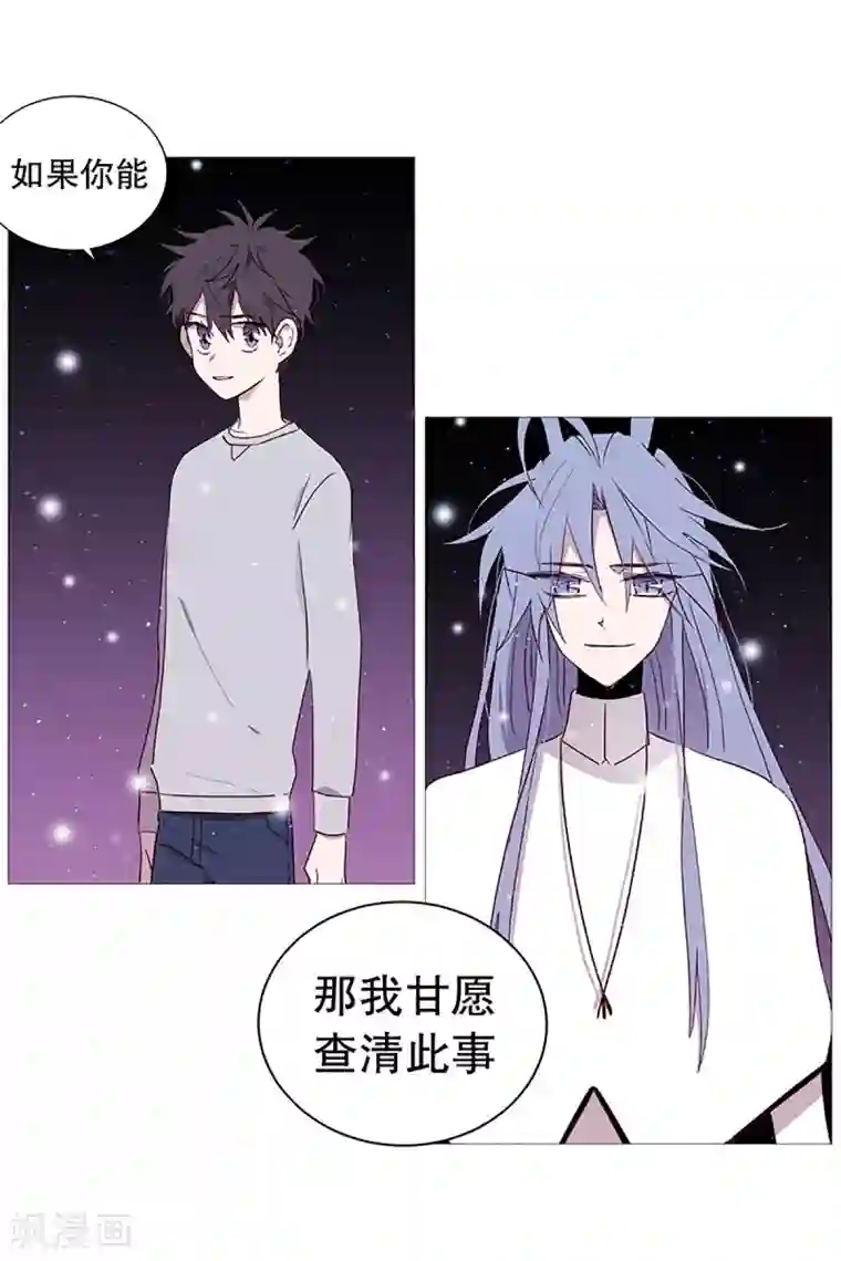 动物灵魂管理局第17话 条件