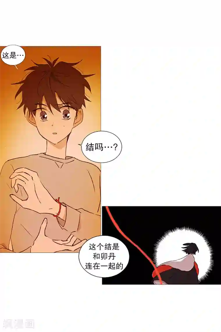 动物灵魂管理局第18话 结绳