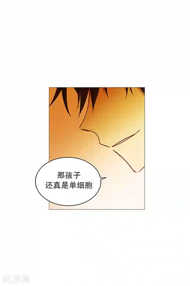 动物灵魂管理局第19话 回家