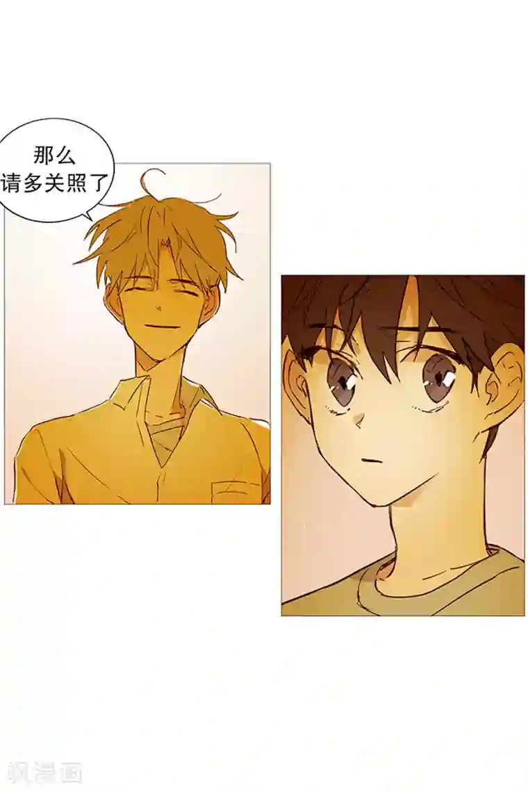 动物灵魂管理局第19话 回家