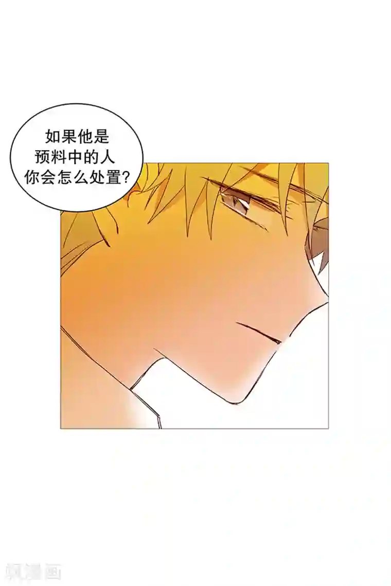 动物灵魂管理局第20话 盘算