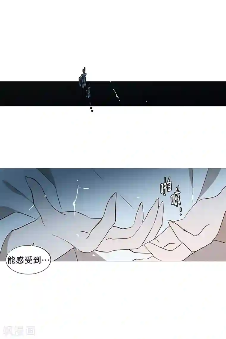 动物灵魂管理局第20话 盘算