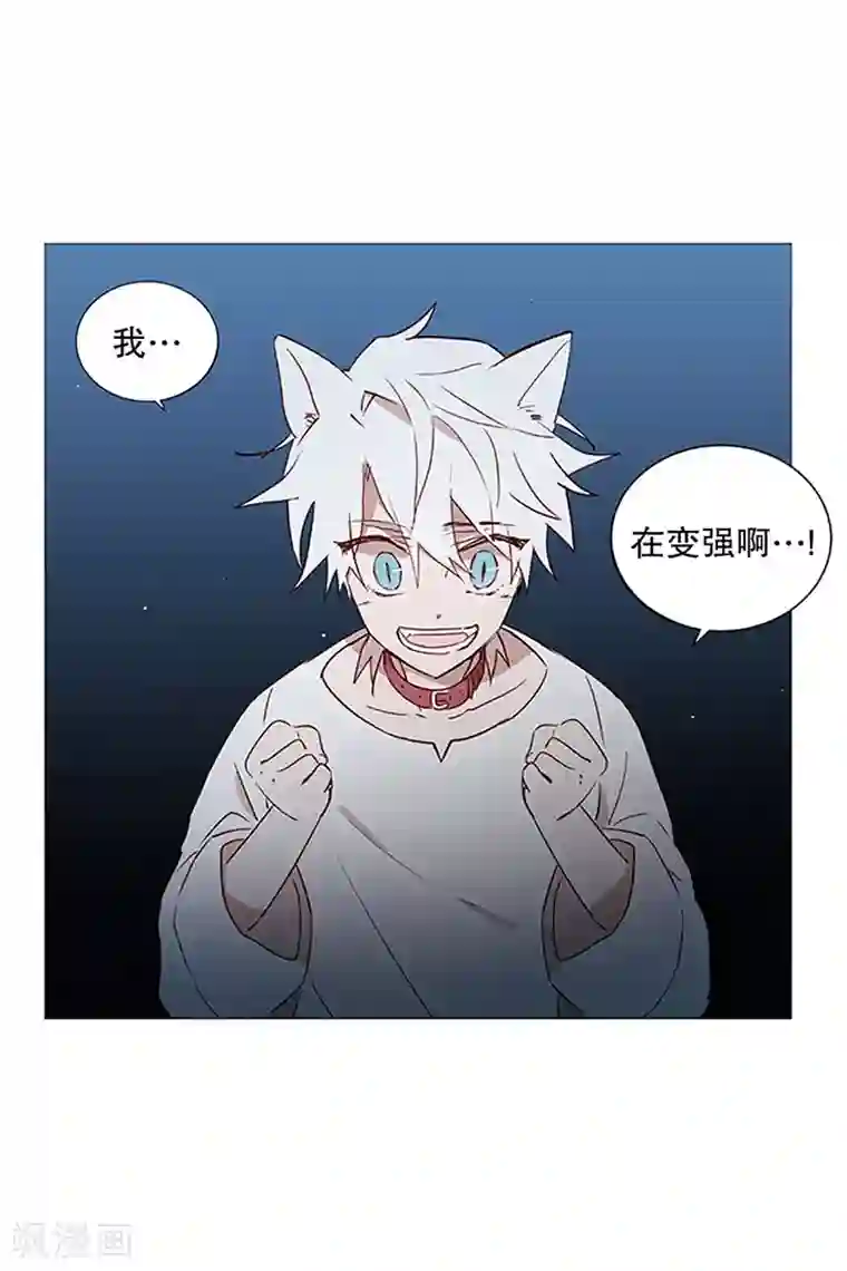 动物灵魂管理局第20话 盘算