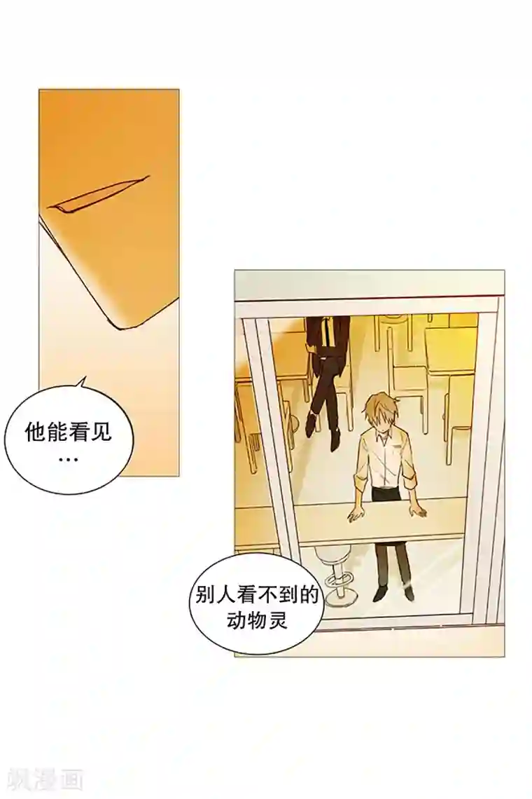 动物灵魂管理局第20话 盘算