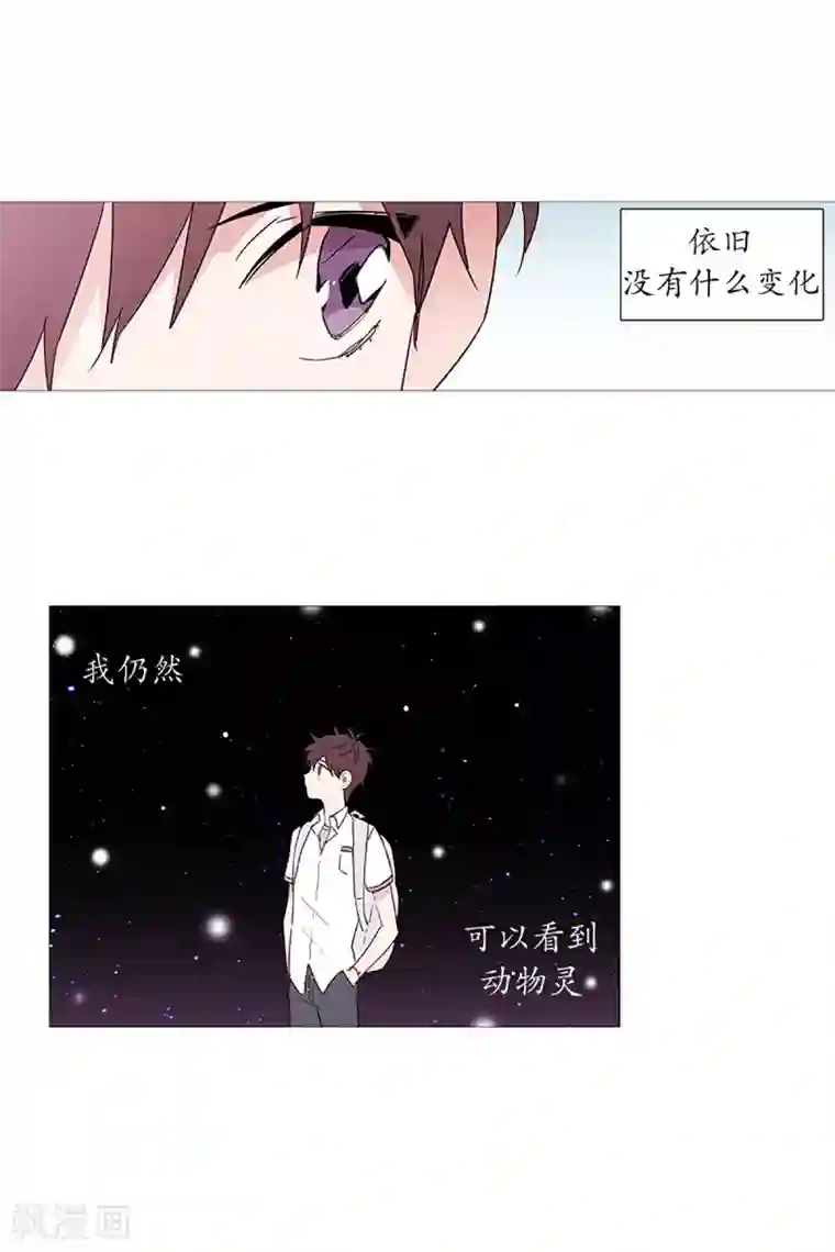 动物灵魂管理局第23话 啾