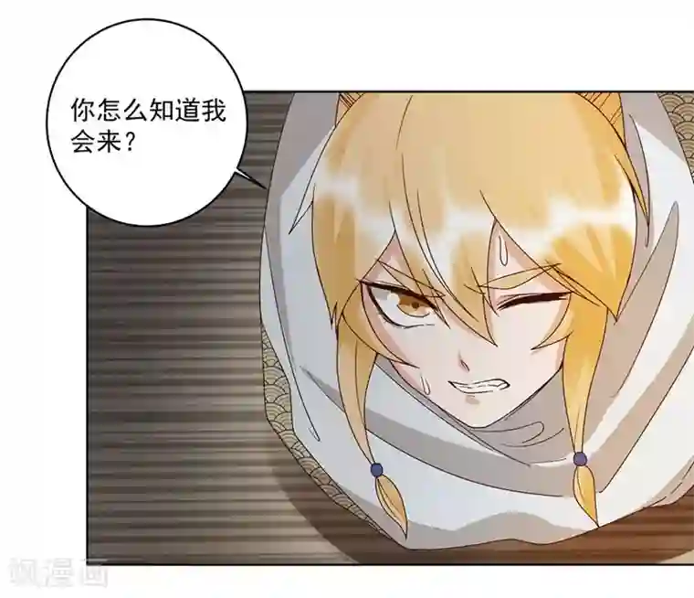 浴血商后：冷夫强宠第137话