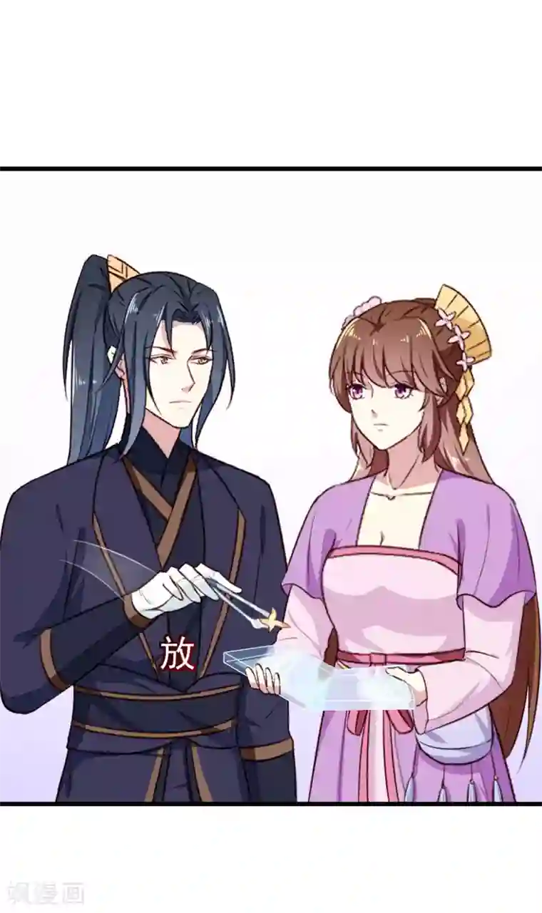 天才小毒妃之芸汐传奇第203话 龙飞夜的怀疑