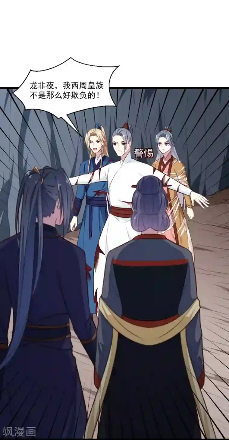 天才小毒妃之芸汐传奇第203话 龙飞夜的怀疑