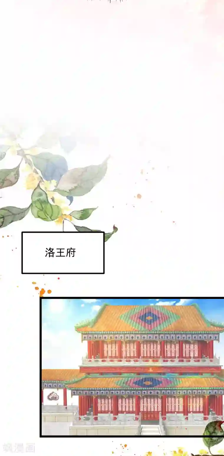 帝凰之神医弃妃第48话 洛王有请