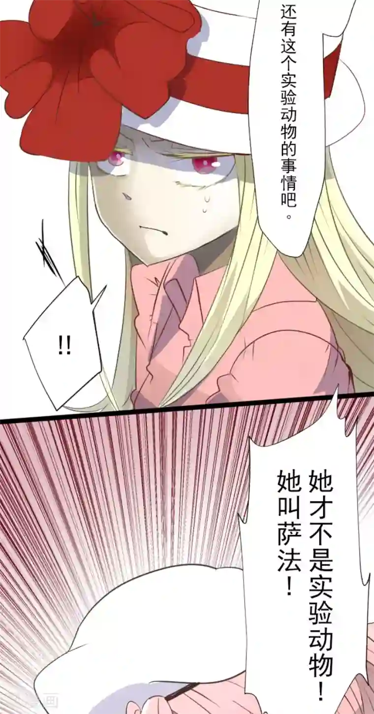 他和她的魔法契约第60话 骑士团成立