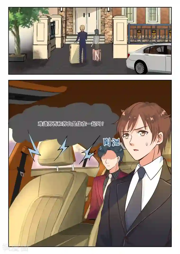 邪魅老公第263话 苏西苏白