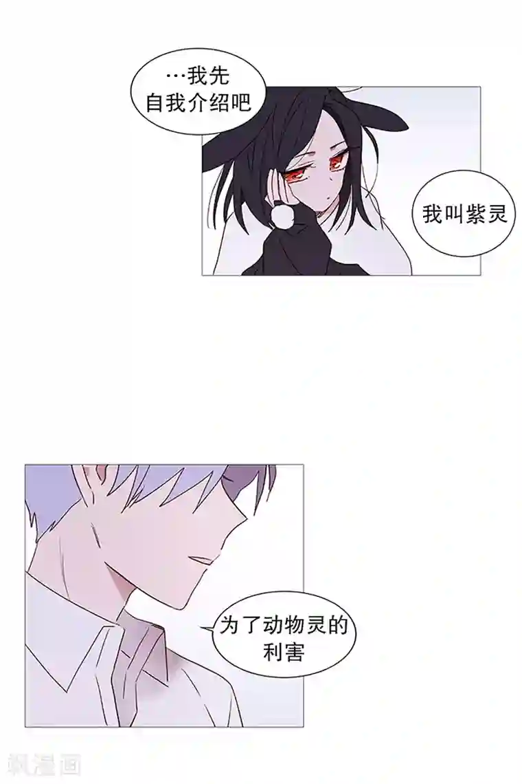 动物灵魂管理局第13话 我是紫灵