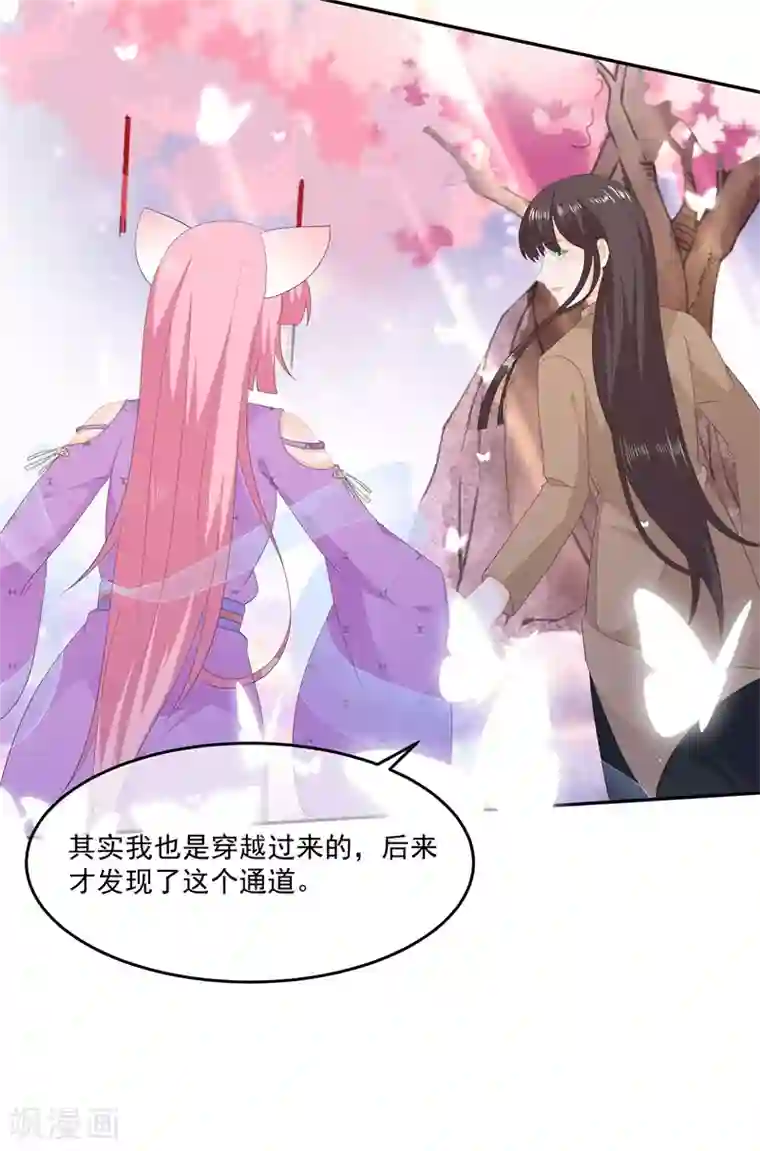 狐妃,别惹我番外篇 清希、千城，欢迎回家！