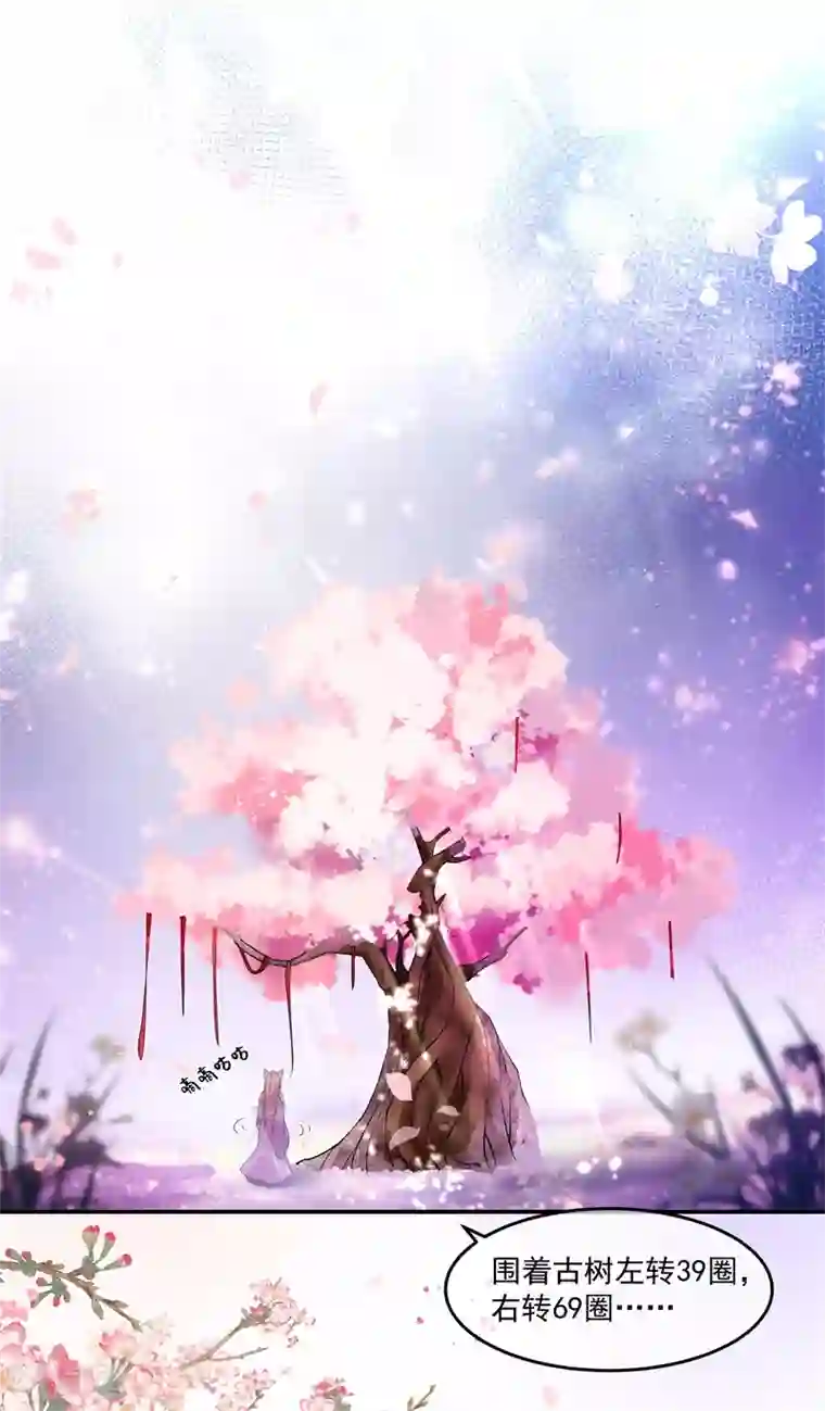 狐妃,别惹我番外篇 清希、千城，欢迎回家！