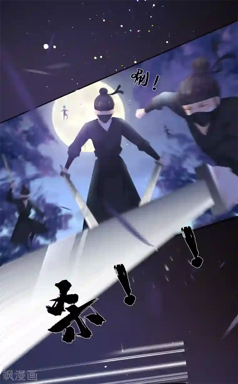 狐妃,别惹我第57话 宫外遇刺