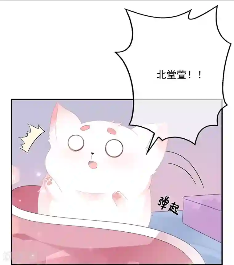 狐妃,别惹我第57话 宫外遇刺