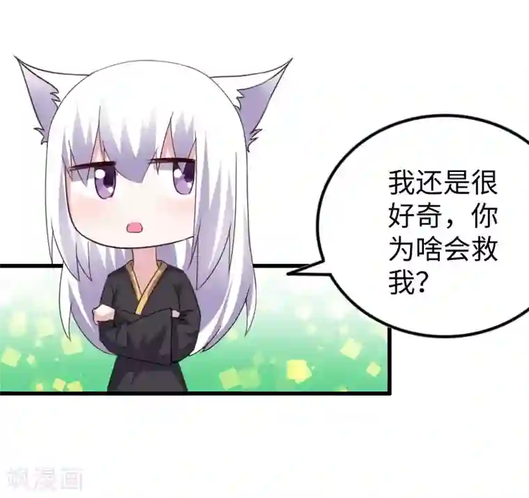 宠狐成妃第309话 脱吧