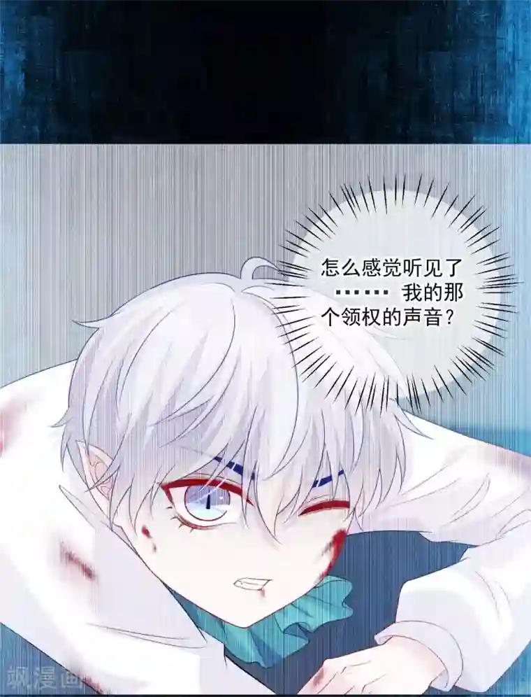 明星是血族第230话 白夜崽崽受伤了