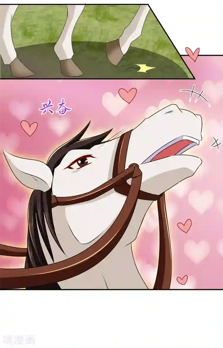 绝色医妃第162话 楚定北的心意