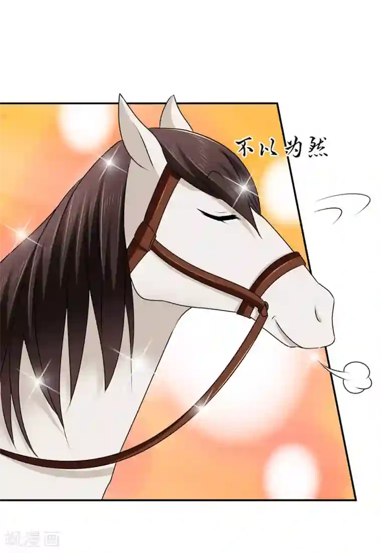 绝色医妃第162话 楚定北的心意