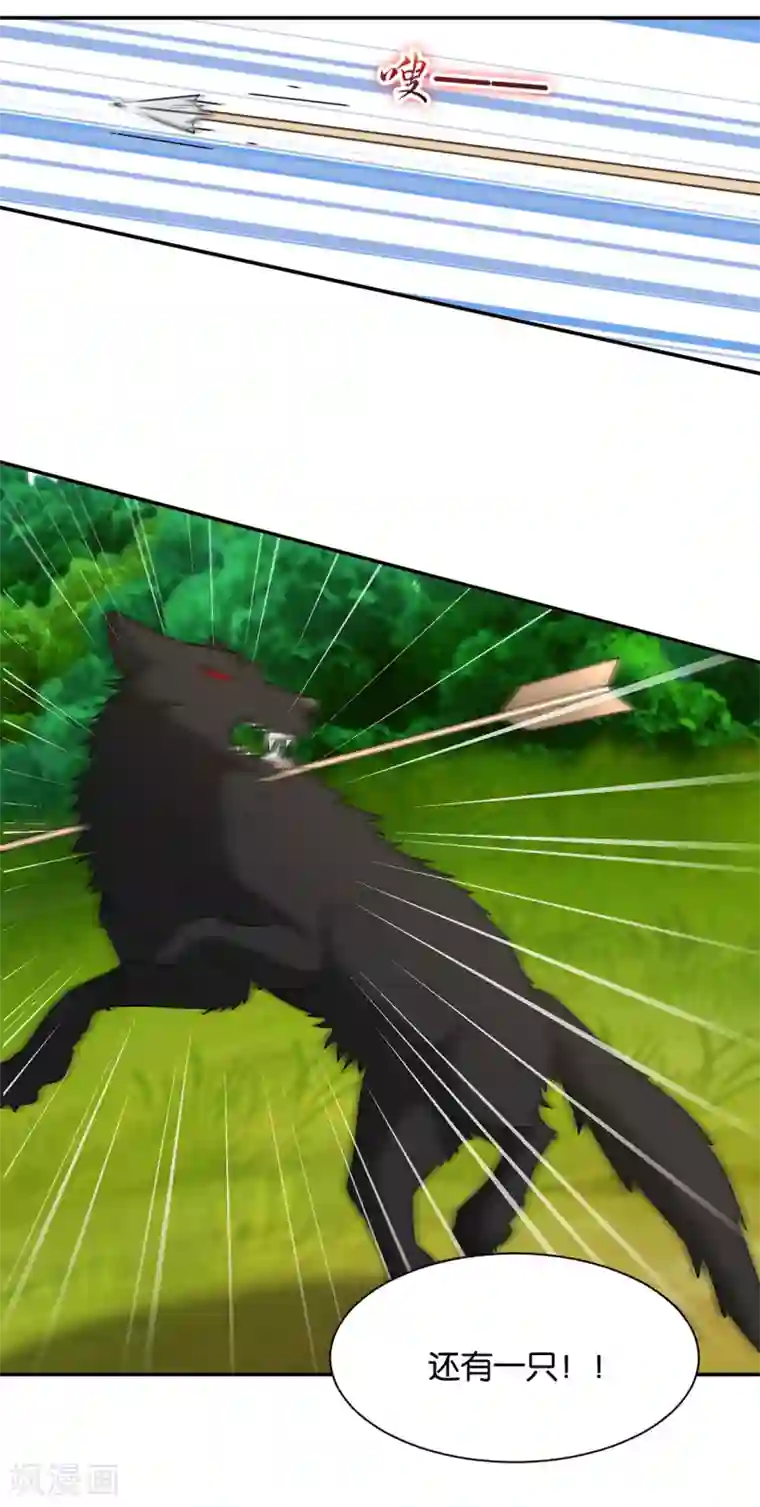 绝色医妃第164话 狼群，受伤