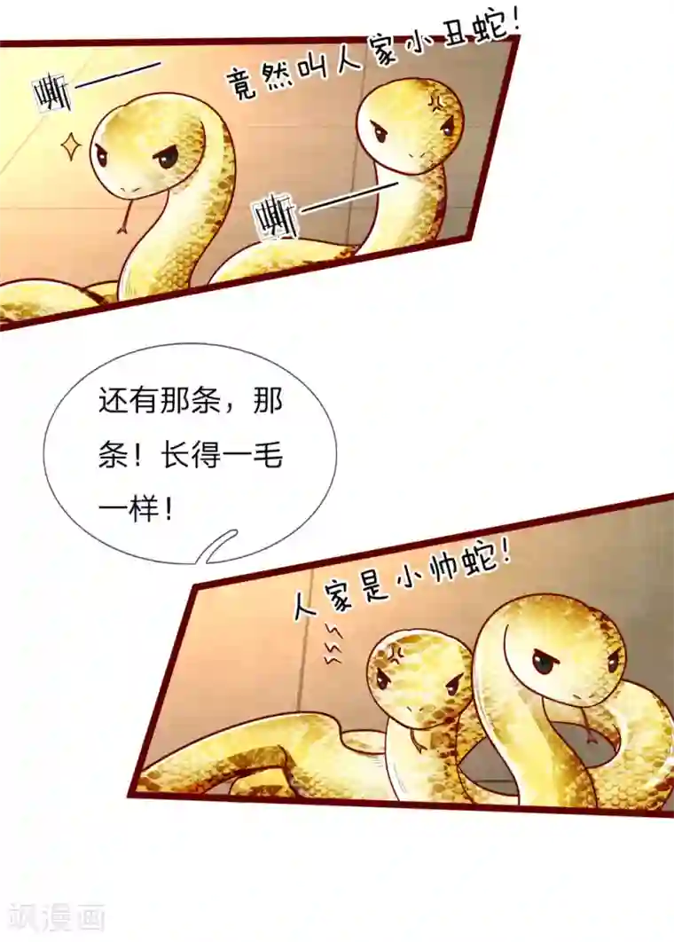 皇帝陛下的天价宝贝第106话 吃瓜吃瓜吃瓜啊