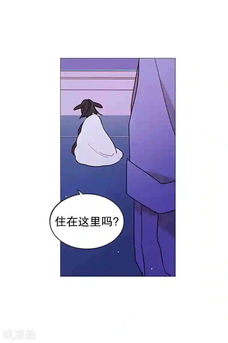 动物灵魂管理局第25话 难过